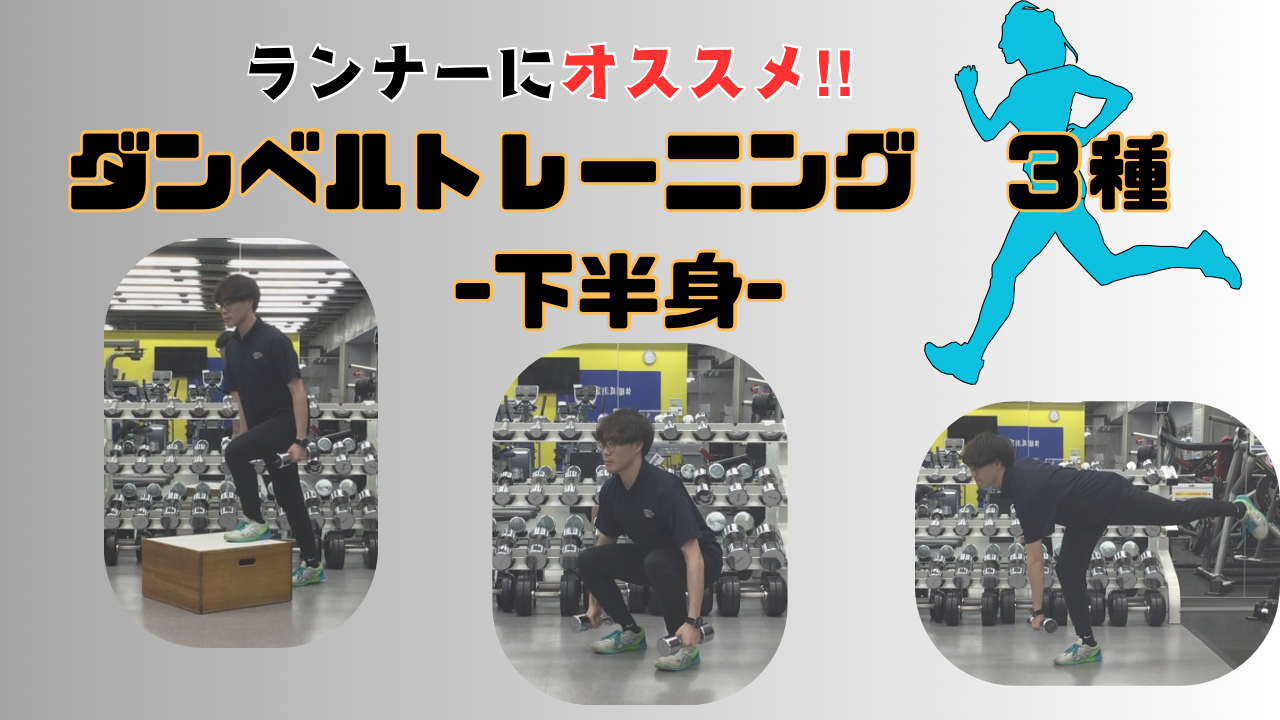 ドキュメント