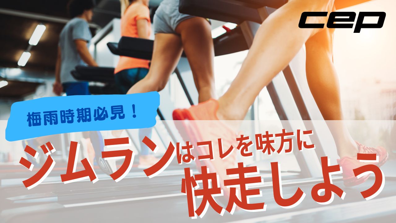 コラム