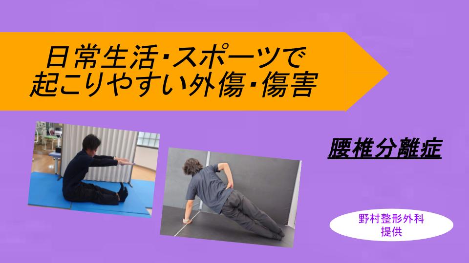 コラム
