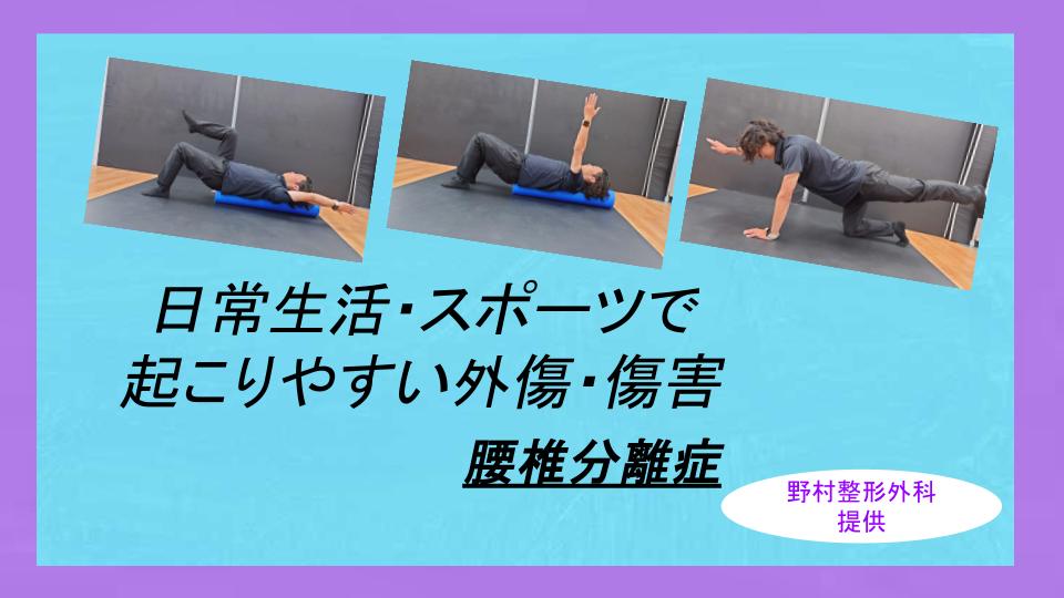コラム