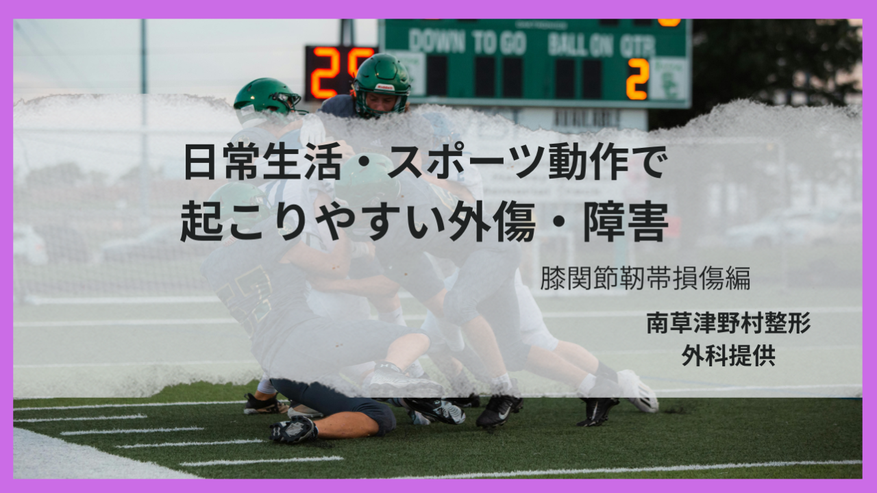 コラム