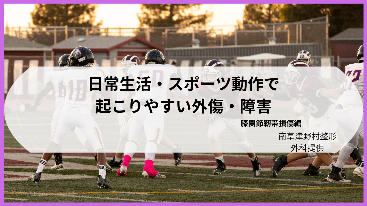 コラム