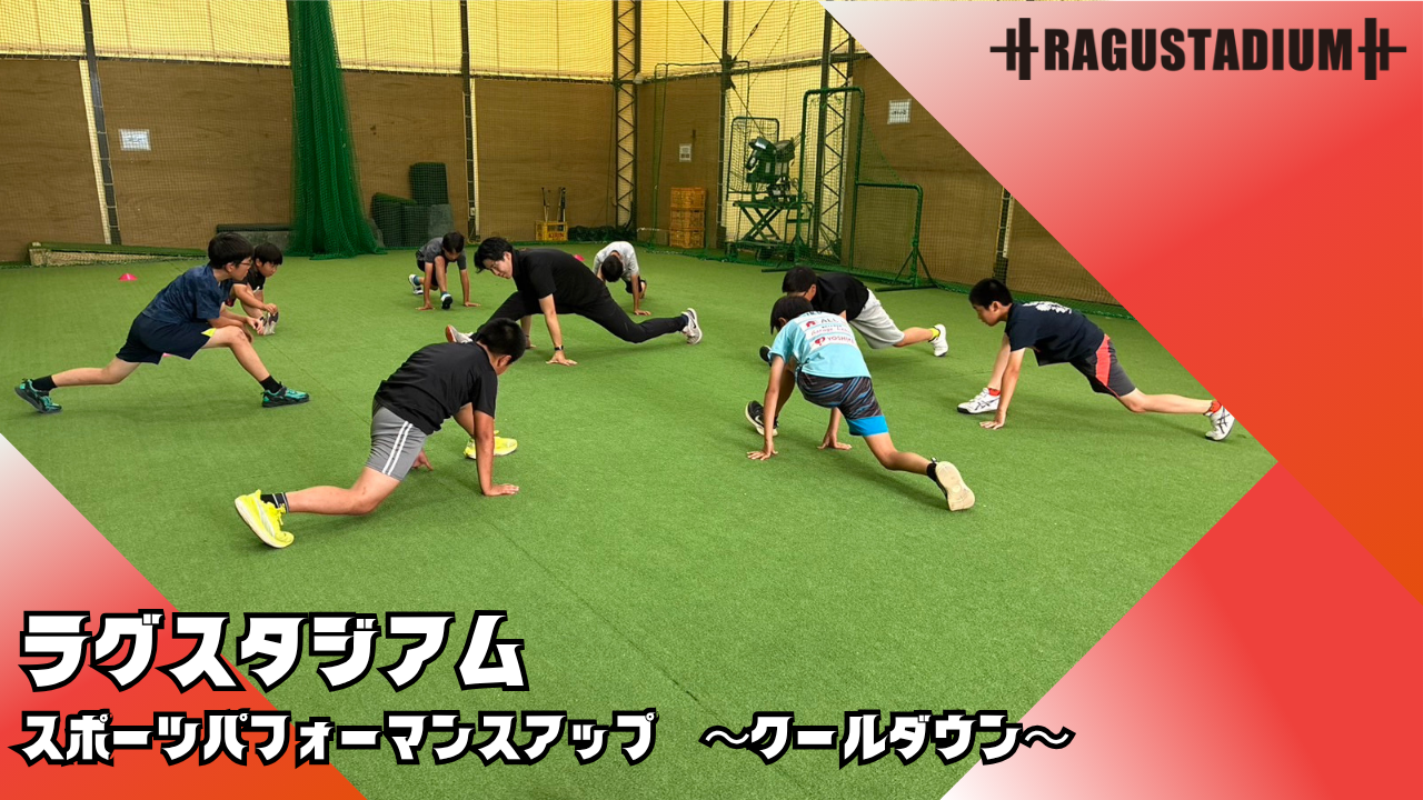 コラム