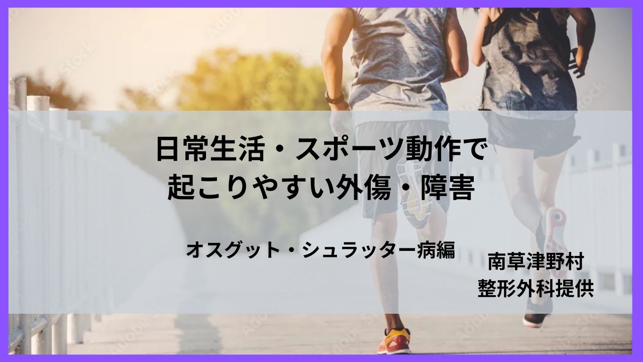 コラム