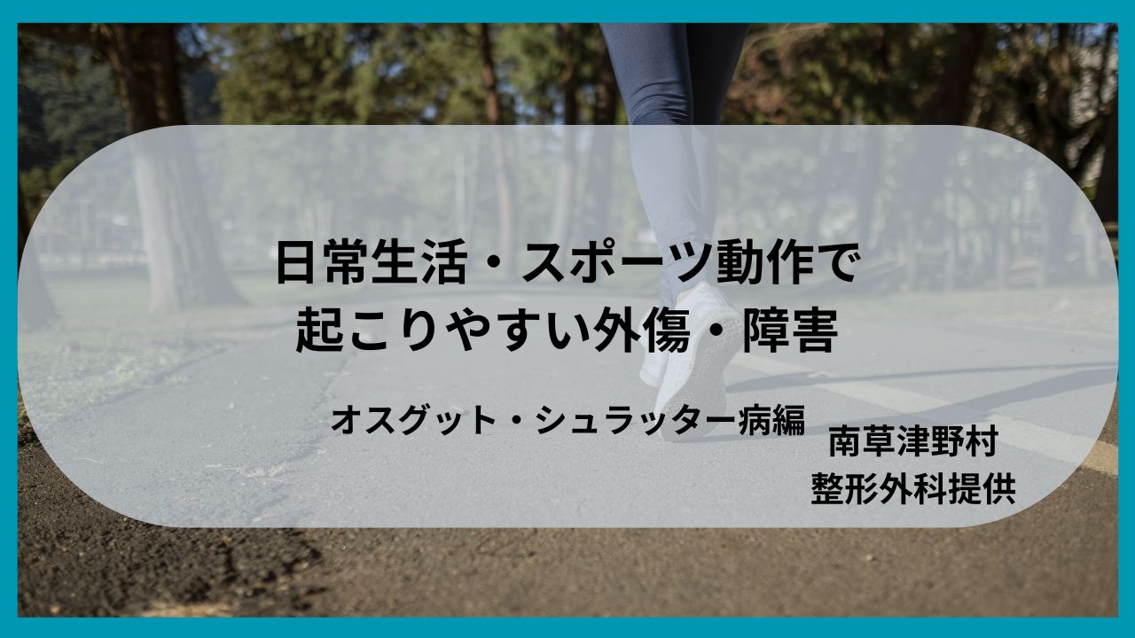 コラム
