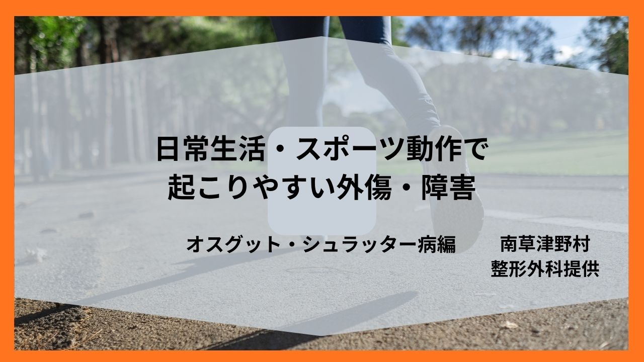 コラム